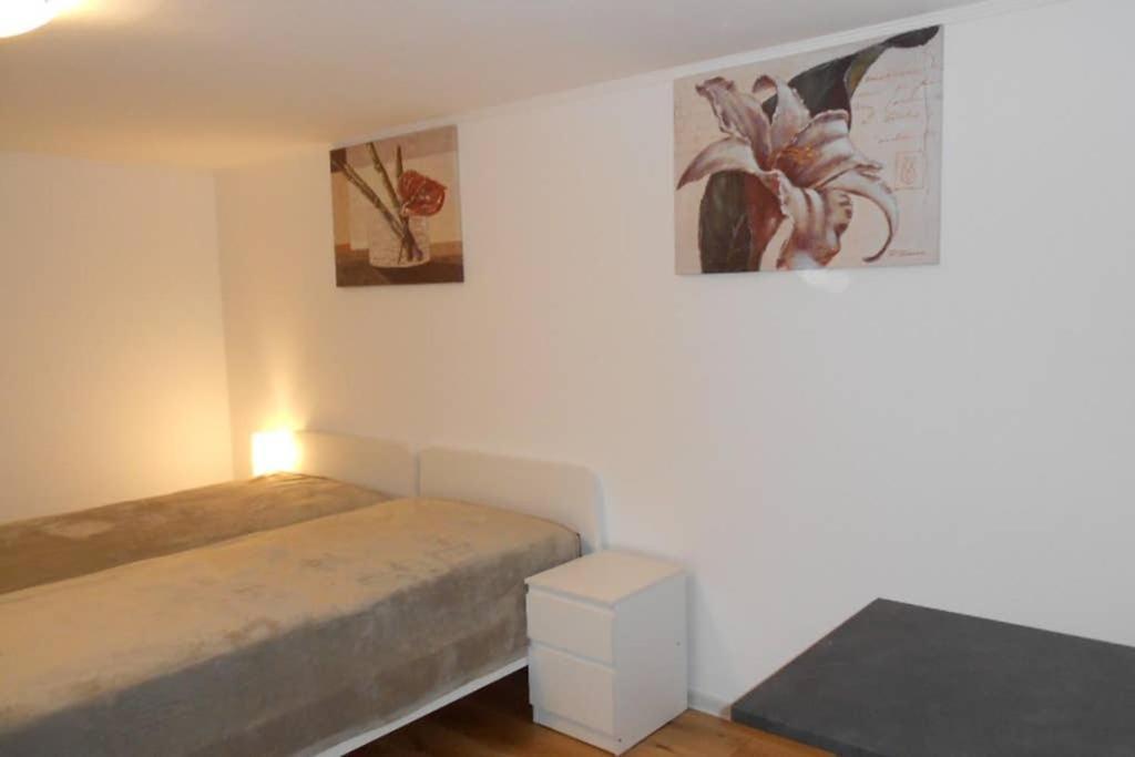 Apartment in direkter Nähe zu Basel Grenzach-Wyhlen Exterior foto